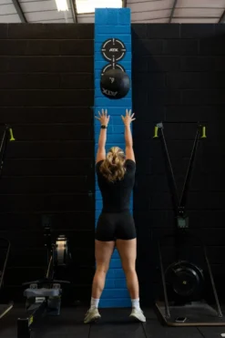 JAWS Bite-Size Wall Ball Target 15 JAWS Bite-Size Wall Ball Target -Gym Equipme Sales cxp7922