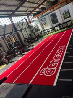 Bespoke - Grasshopper Artificial Grass Performance Speed Track 10 Bespoke - Grasshopper Artificial Grass Performance Speed Track -Gym Equipme Sales img 3951