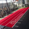 Bespoke - Grasshopper Artificial Grass Performance Speed Track -Gym Equipme Sales img 3952 5
