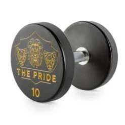 Custom Logo Pro Urethane Dumbbells Set -Gym Equipme Sales ipl 190307igy000000000008155