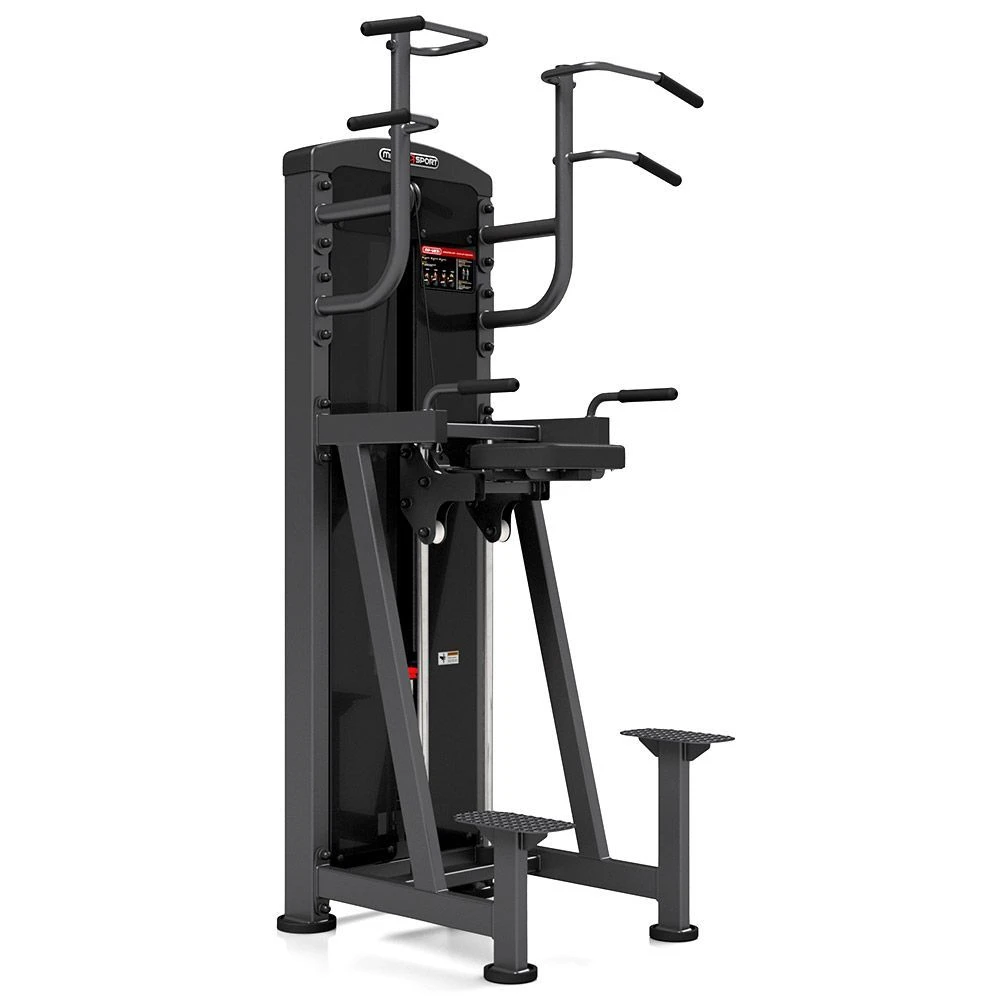 TGR Series Assisted Chin Up / Dip Machine 3 TGR Series Assisted Chin Up / Dip Machine